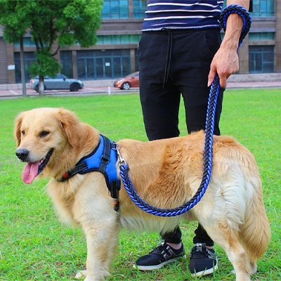 Laisse pour Chien | Robuste - Vie2chien