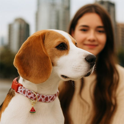 Collier chien | Premium Comfort - Vie2chien