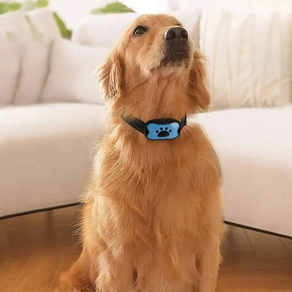 Collier de dressage pour Chien | ProTrainer - Vie2chien