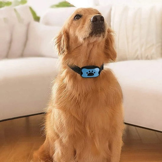 Collier de dressage pour Chien | ProTrainer - Vie2chien