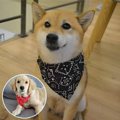 Collier pour chien | Confort Ajustable - Vie2chien