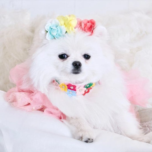 Collier pour chien | Confort Durable - Vie2chien