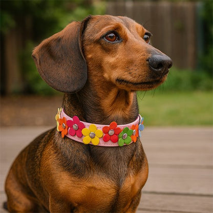 Collier pour chien | Confort Durable - Vie2chien