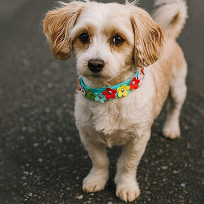Collier pour chien | Confort Durable - Vie2chien