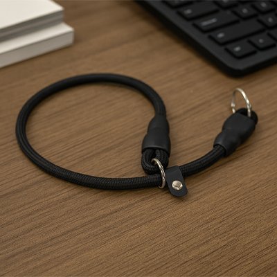 Collier pour chien | Robustyle - Vie2chien