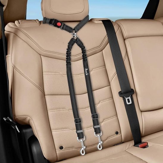 Double laisse pour chien | PetWalk - Vie2chien