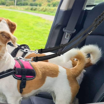 Double laisse pour chien | PetWalk - Vie2chien