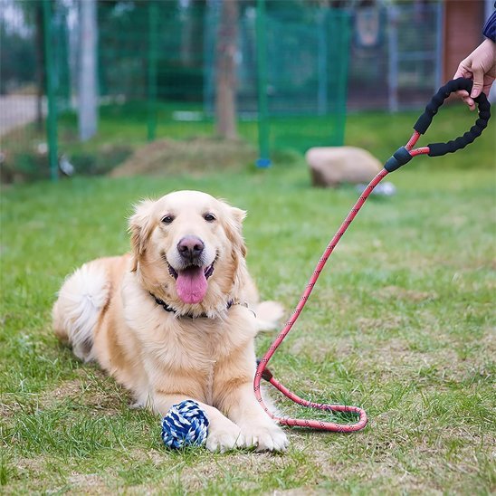 Laisse pour chien | RobustControl - Vie2chien