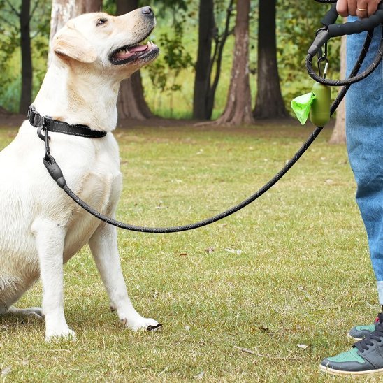 Laisse pour chien | RobustControl - Vie2chien