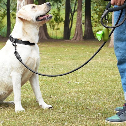 Laisse pour chien | RobustControl - Vie2chien