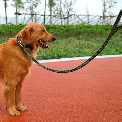 Laisse pour Chien | Robuste - Vie2chien
