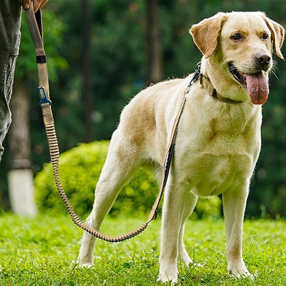 Laisse pour chien | Robuste & Confortable - Vie2chien